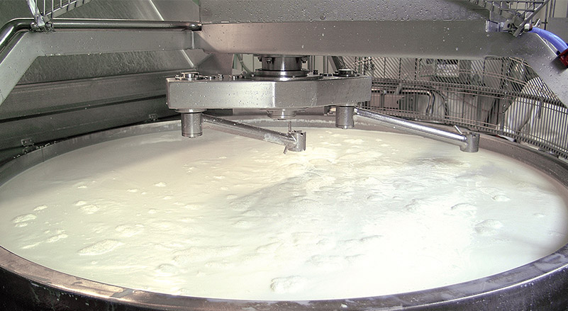 production mozzarella