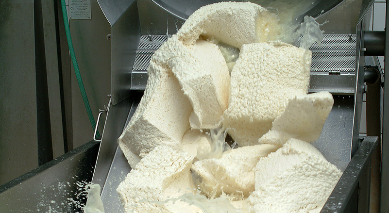 production mozzarella