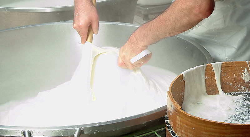 production mozzarella